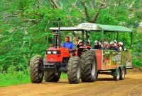 Jaco Oceanfront Luxury Condo #1119 in a Luxury Resort