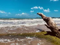 LOCATION! Beach & Ocean Front Luxury Villa Rio Mar Resort Hotels in Mameyes II