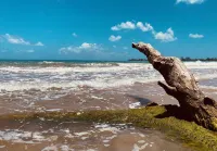 LOCATION! Beach & Ocean Front Luxury Villa Rio Mar Resort