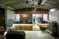 Woodpegger by the Beach, Mandrem