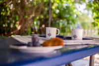Kids friendly house with large private, fenced garden, pool, 1km beach