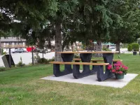 Yellowhead Motel Hotels in Valemount