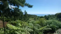 DOMAINE DECOTTE BUNGALOW in the heart of nature