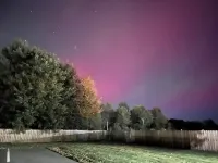 Lakeshore Suites Hotels near Trout Lake