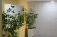 Edificio Londres 201 Hotels in Guarapari