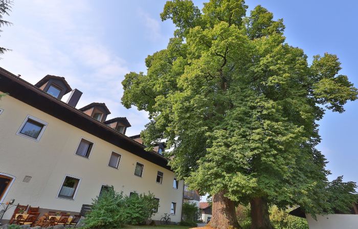 Hotel Bockmaier