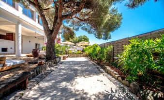Villa Paradis