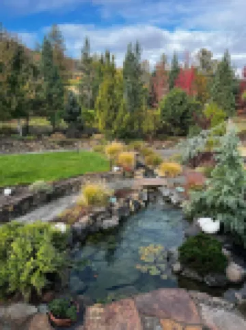 Country Willows Inn and Estate