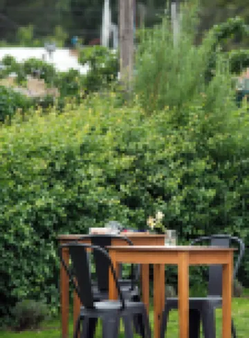 Oliva Hostería y Apart Hotels in 