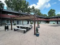 Chic & Cozy Plaza Midwood Gem-1 bedroom condo with A/C