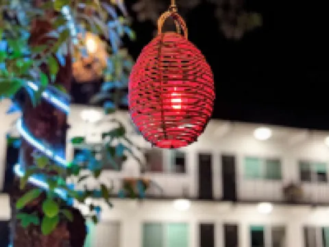 Hotel Luciernaga Hoteles en Xochitepec