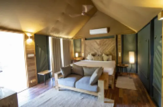 Trees N Tigers Luxury Wildlife Lodge