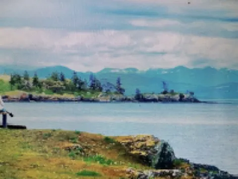 Driftwood Studio Loft#Oceanfront Park Area#Quiet! Hotels in Nanaimo E