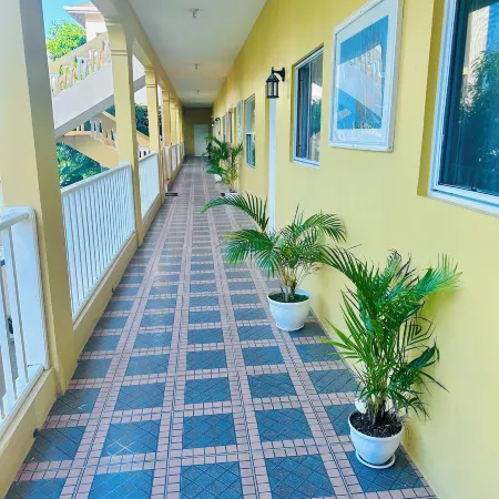 Spring Palm Estate