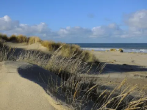 Holiday Home in Domburg Near the Beach Hotels in Domburg