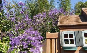 Bramasole B&B