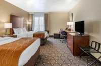 Comfort Inn Airport Turfway Road Hotels in Florence