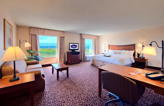 希爾頓歡朋酒店-謝里登