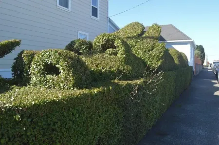 Stylish & Bright , King Bed, Downtown Oasis