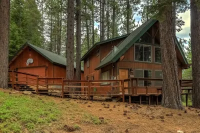 Woodland Escape - Cute Little Cabin in the Woods!