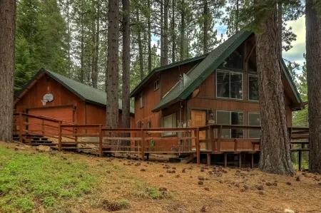 Woodland Escape - Cute Little Cabin in the Woods!