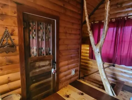 Log cabin on 9 acres. Perfect for a winter retreat or summer trip to the river.