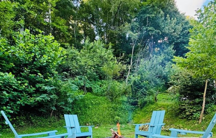 Charming 1940s Cottage Updated-Creek Front-Fire Pit