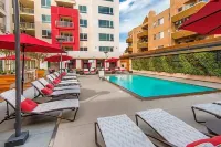 Modern and Cozy Apt in WEHO