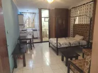 Pleasant Studio Apartment at Bole
