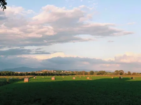 The little Magician's secret corner