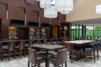 Hilton Alexandria Mark Center - bar