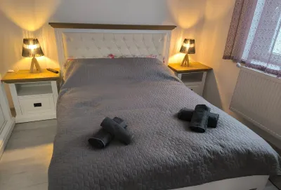 Mountain view, cozy 1-bedroom apartment in charming Baia Mare with WiFi Hotels in 