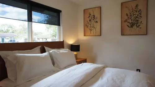 Pet friendly Royal Palm oasis with pool Hotels in Royal Palm Beach