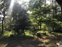 Villa Familiale Avec Jardin Clos au Bord du lac de Lacanau, Coté Port