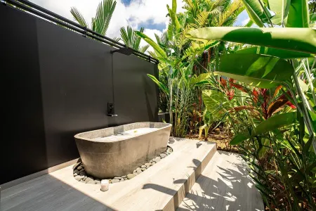 Ocean view jungle surf house with 3 casitas, 7 bdrms with AC near Manuel Antonio