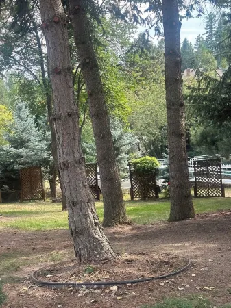 Whitefish River Front Property. 30 Day Minimum