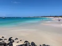 Branco Suites - Rooms & Holiday Apartments - Apartemen