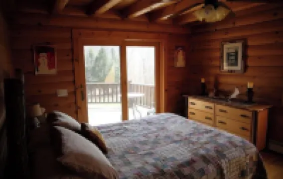 Stunning Catskills Cabin Getaway, facing BelleAyre