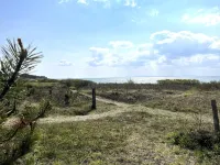 "Michael" - 250m from the Sea