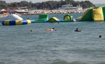 Authentic Istrian Holiday Home for Unforgettable Stays