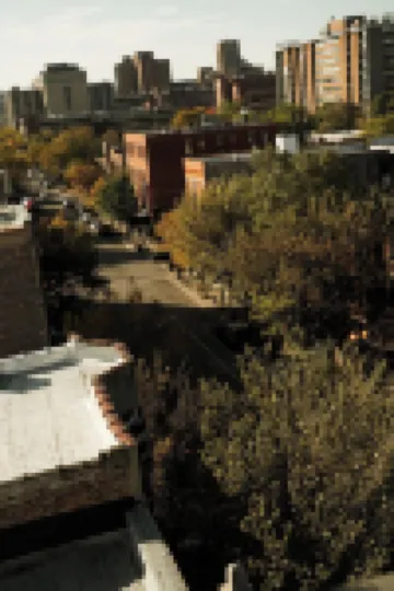 The Neighborhood Hotel Little Italy