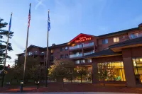 Hilton Garden Inn Wisconsin Dells - Parkplatz