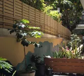 Polynesian Hostel Beach Club Hotels in 