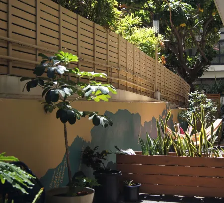 Polynesian Hostel Beach Club