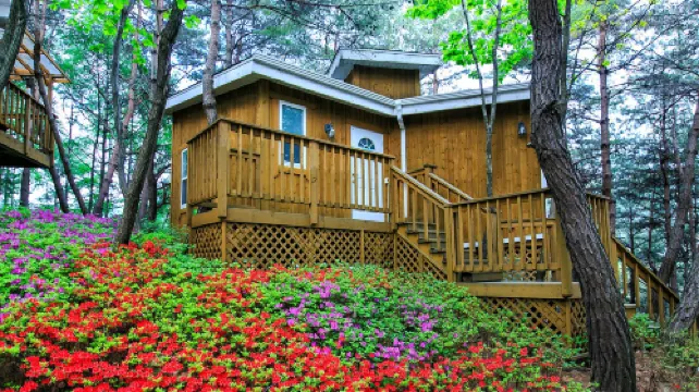 Couplestar in Forest Glamping