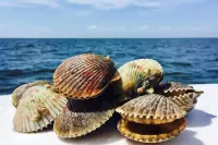 Manatee Cove Retreat | Pet-Friendly Coastal Home Sleeps 6