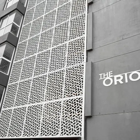 The Orion 18