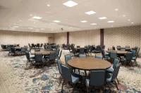 Hotel Lela Wilmington, Tapestry Collection by Hilton - breakfast