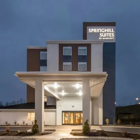 SpringHill Suites by Marriott Pittsburgh Airport