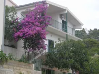 Apartments Neva